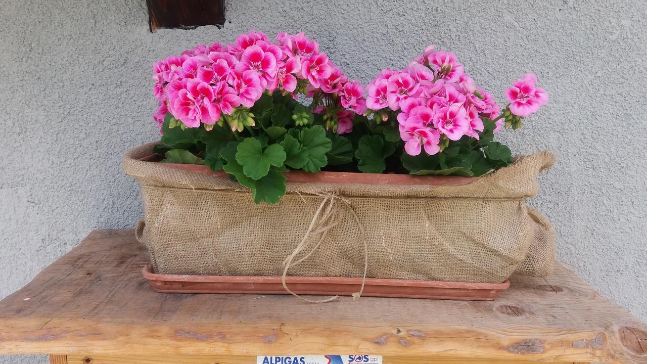 Maison Des Abeilles Vda Gressan N 0028 Kültér fotó