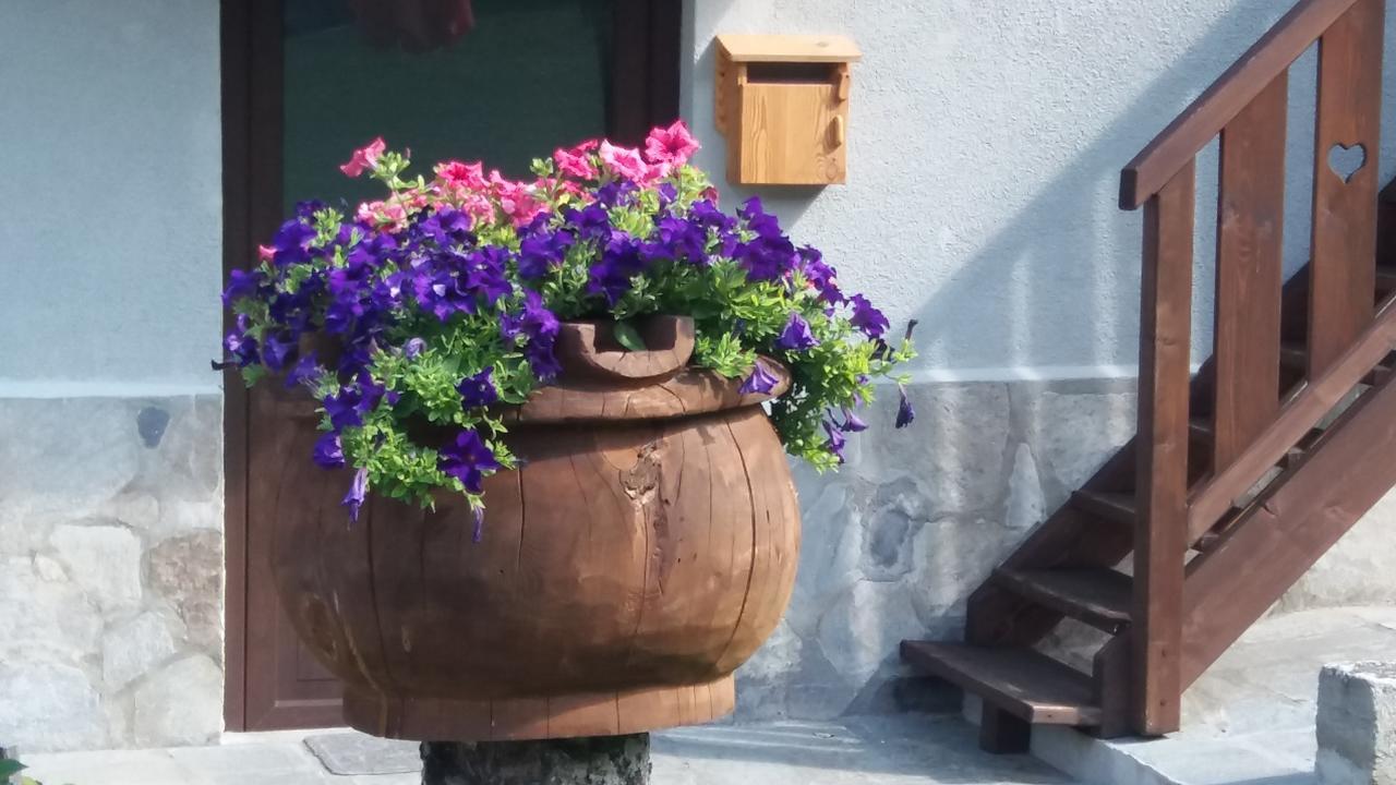 Maison Des Abeilles Vda Gressan N 0028 Kültér fotó